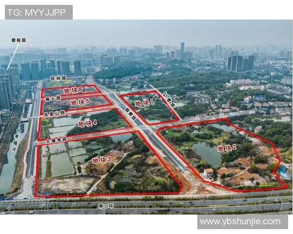 南京极限运动队全方位压制表现分析与未来发展方向探讨 南京极限运动队全方位压制表现分析与未来发展方向探讨