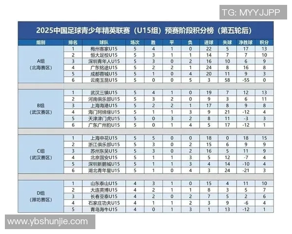 南京足球队实力强劲荣登全国足球力量排行榜第七名